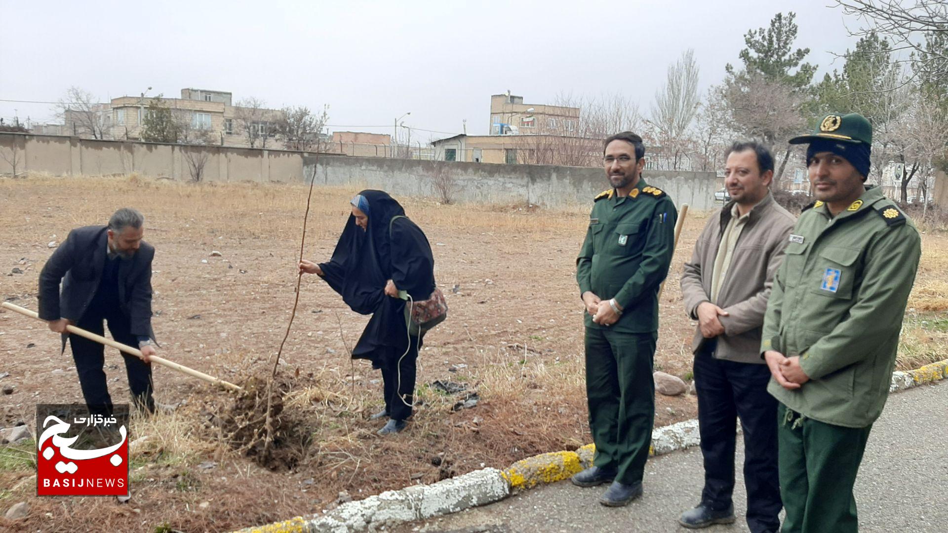 کاشت ۶٠۶٧ اصله نهال به همت گروههای جهادی و بسیجیان در قوچان کاشت ۶٠۶٧ اصله نهال به همت گروههای جهادی و بسیجیان در قوچان