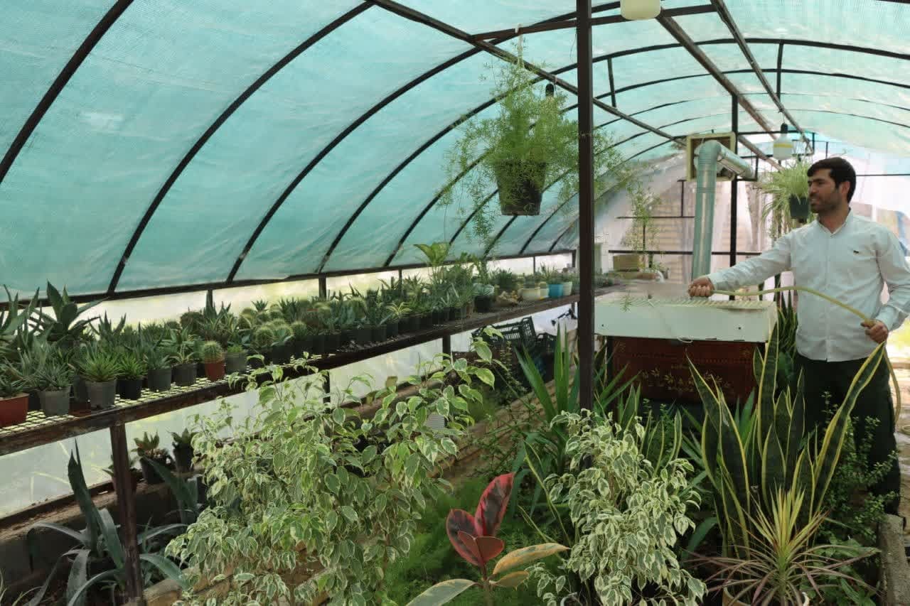احداث گلخانه برای ایجاد اشتغال توسط کارآفرین مینودشتی احداث گلخانه برای ایجاد اشتغال توسط کارآفرین مینودشتی
