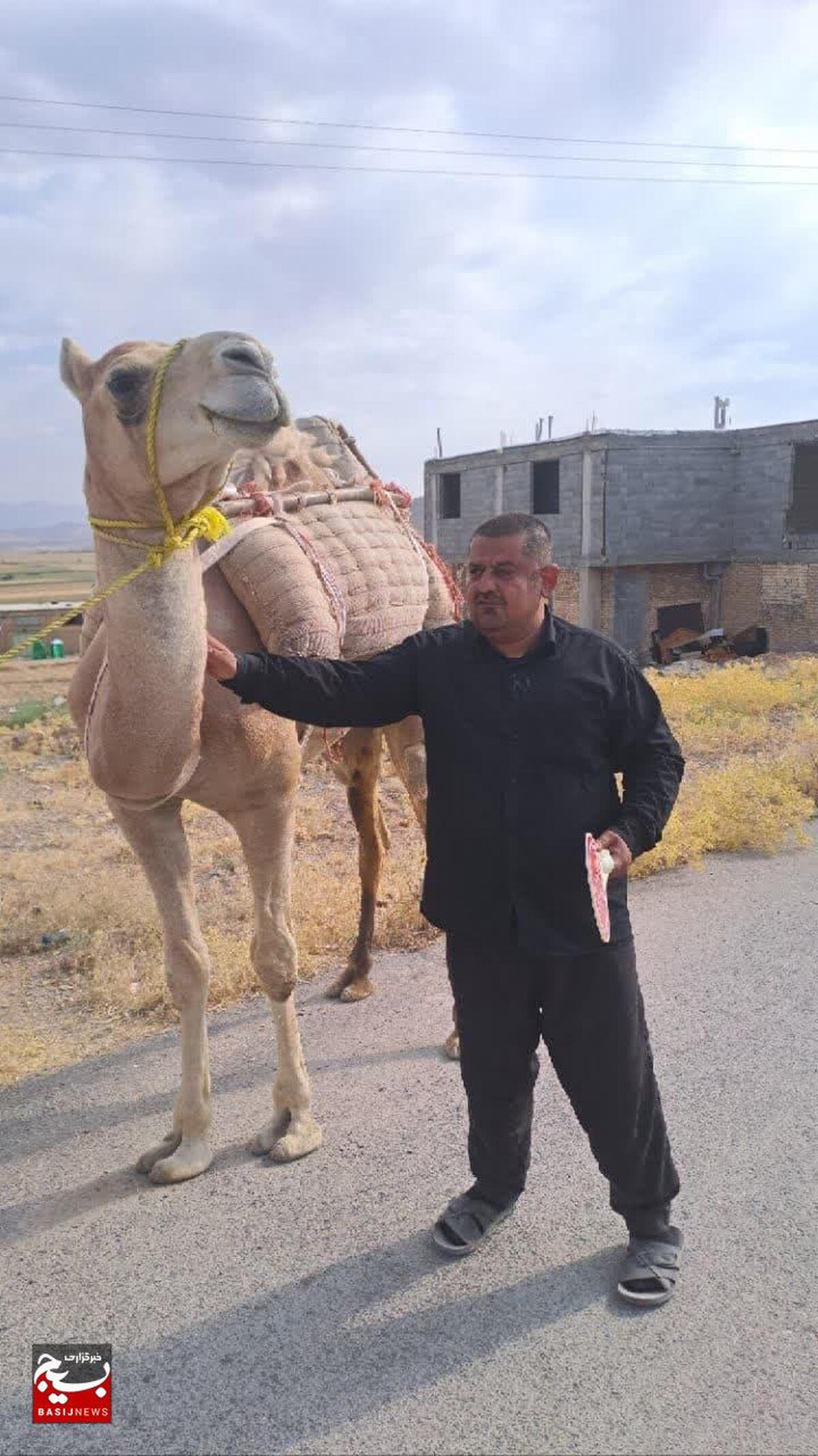 حرکت نمادین کاروان اسرای کربلا، در شهر وردنجان