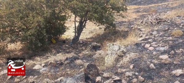 آتشسوزی در منطقه حفاظتشده آق داغ مهار شد آتشسوزی در منطقه حفاظتشده آق داغ مهار شد