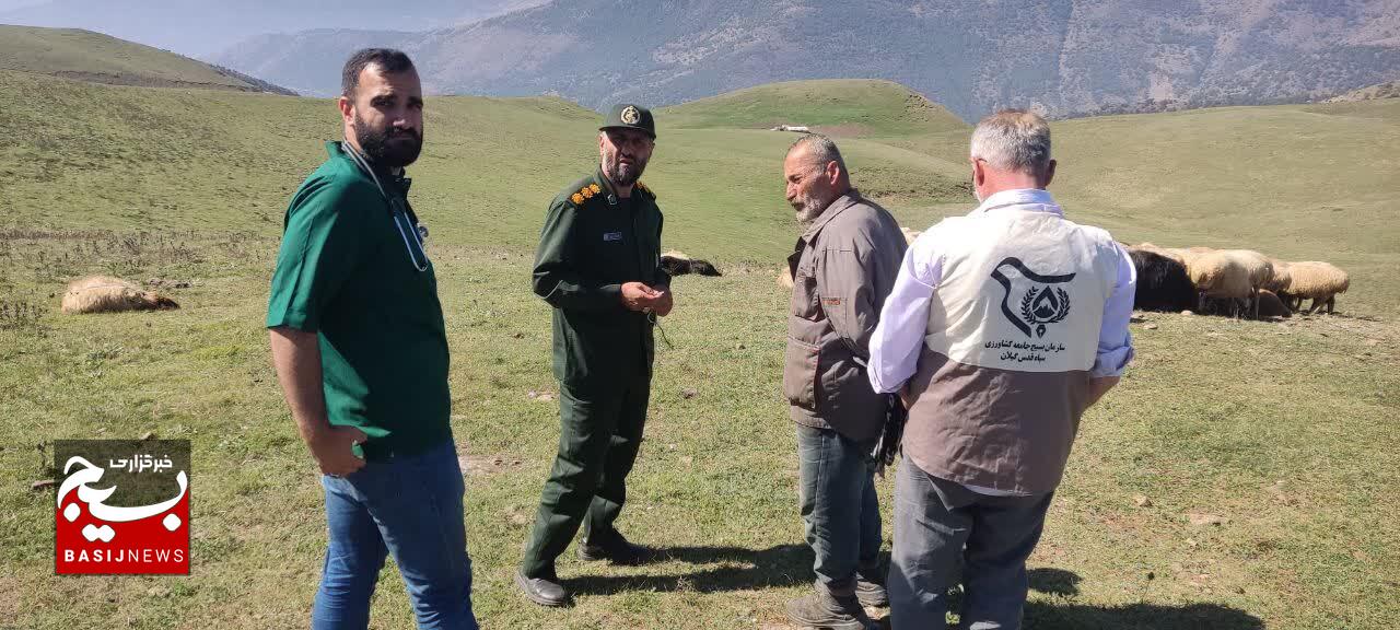 بالغ بر ۴۰۰۰ راس دام سبک وسنگین درییلاقات استان گیلان ویزیت رایگان شدند بالغ بر ۴۰۰۰ راس دام سبک وسنگین درییلاقات استان گیلان ویزیت رایگان شدند