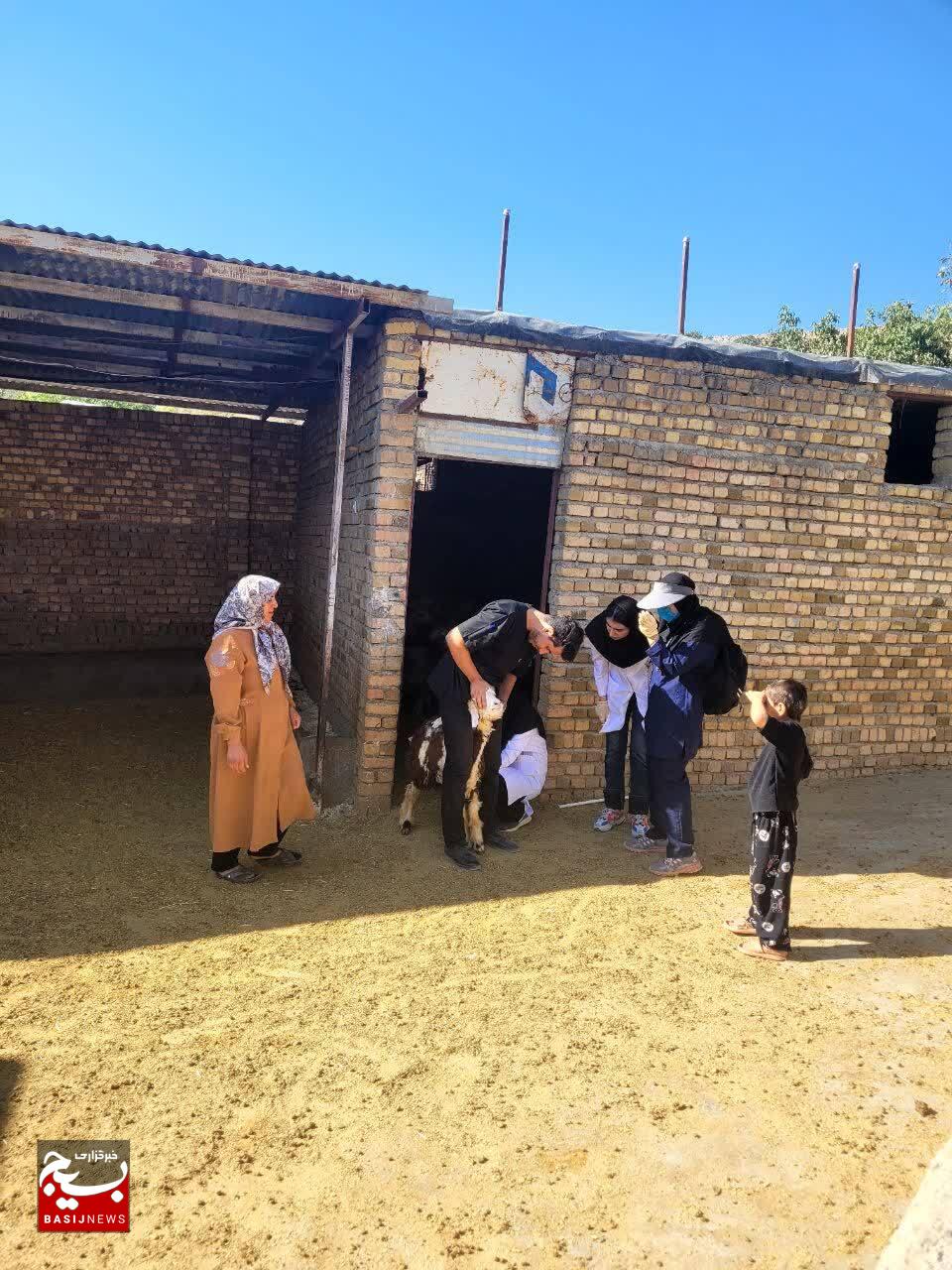 ویزیت رایگان ۴ هزار راس دام و ۵۰۰ عدد طیور در رزمایش جهادی دامپزشکی شهرستان خرم آباد بخش زاغه (روستای باده) ویزیت رایگان ۴ هزار راس دام و ۵۰۰ عدد طیور در رزمایش جهادی دامپزشکی شهرستان خرم آباد بخش زاغه (روستای باده)