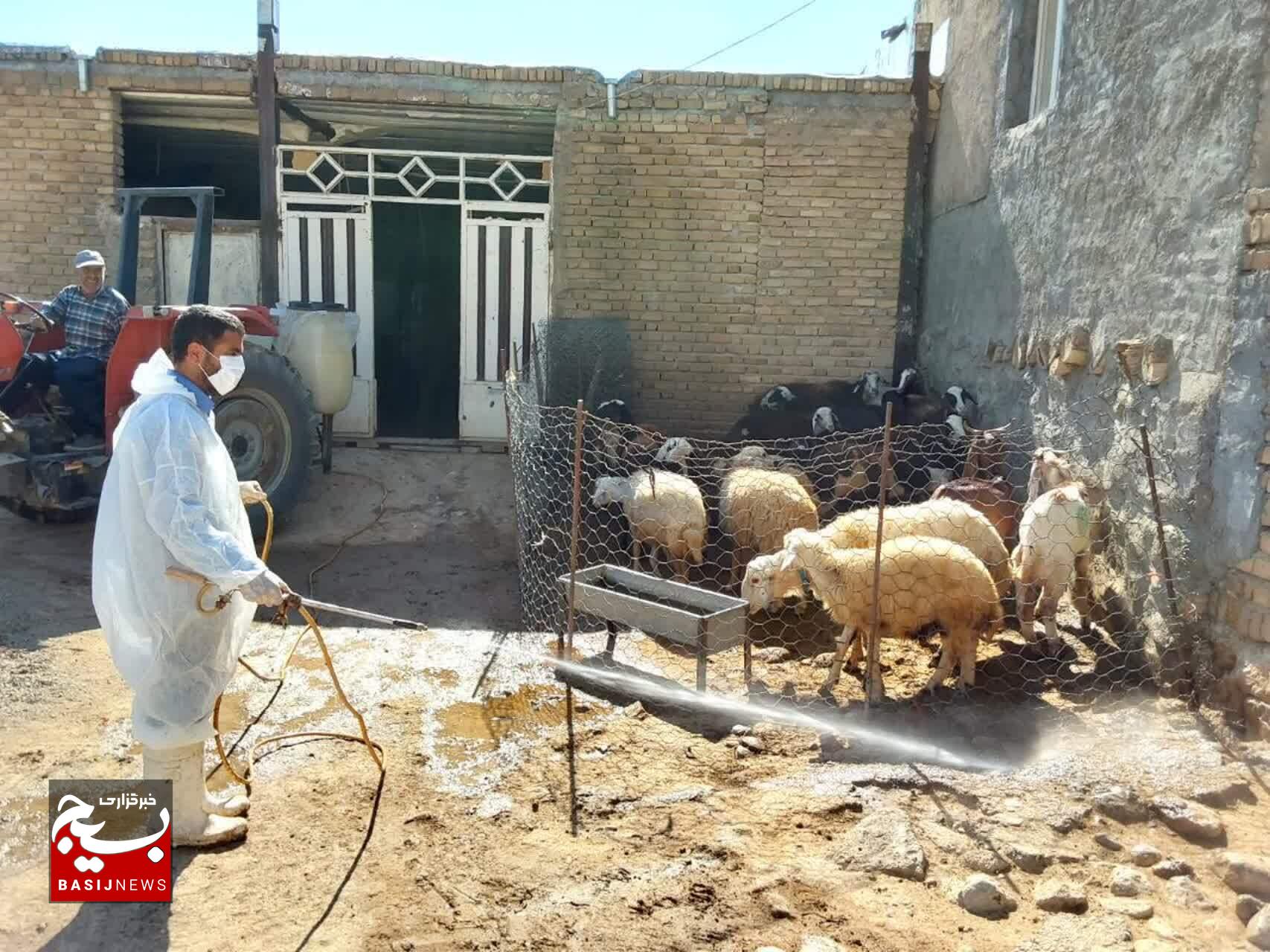 ویزیت رایگان ۴ هزار راس دام و ۵۰۰ عدد طیور در رزمایش جهادی دامپزشکی شهرستان خرم آباد بخش زاغه (روستای باده) ویزیت رایگان ۴ هزار راس دام و ۵۰۰ عدد طیور در رزمایش جهادی دامپزشکی شهرستان خرم آباد بخش زاغه (روستای باده)
