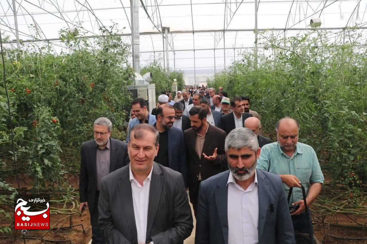 ۵۴ طرح تولیدی کشاورزی در استان قزوین افتتاح شد ۵۴ طرح تولیدی کشاورزی در استان قزوین افتتاح شد