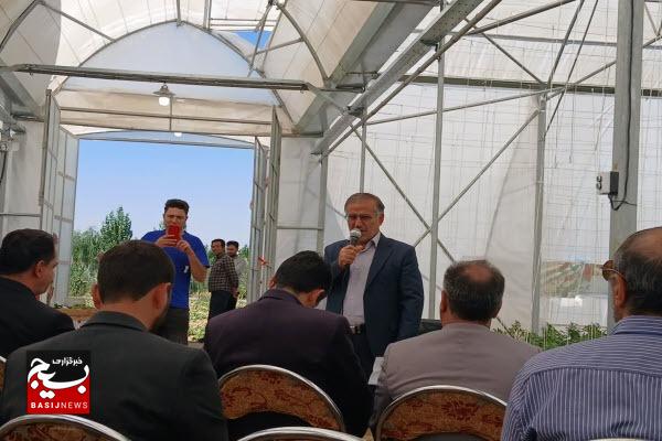 فعالیت ۱۱ گلخانه در شهرستان بهار