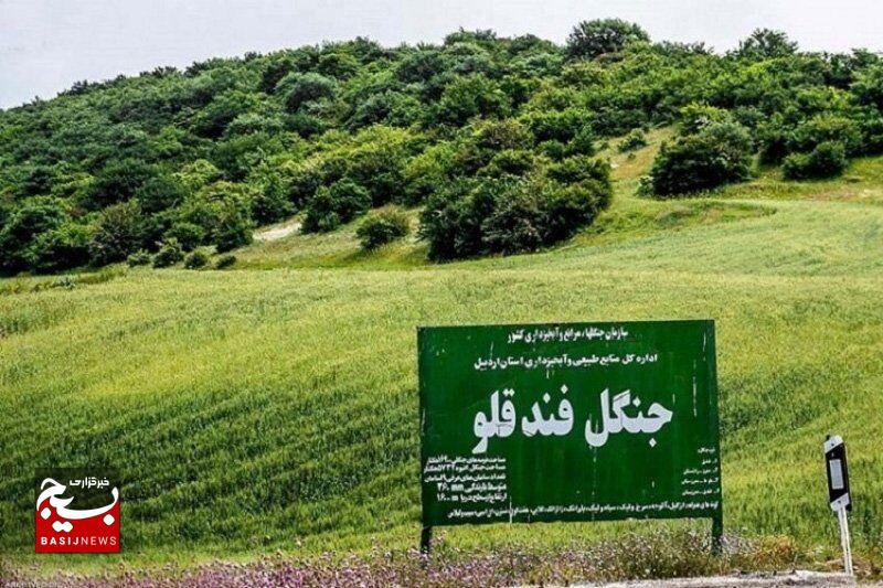 اراضی جنگلی نمین به پاسگاه حفاظتی نیاز دارد اراضی جنگلی نمین به پاسگاه حفاظتی نیاز دارد