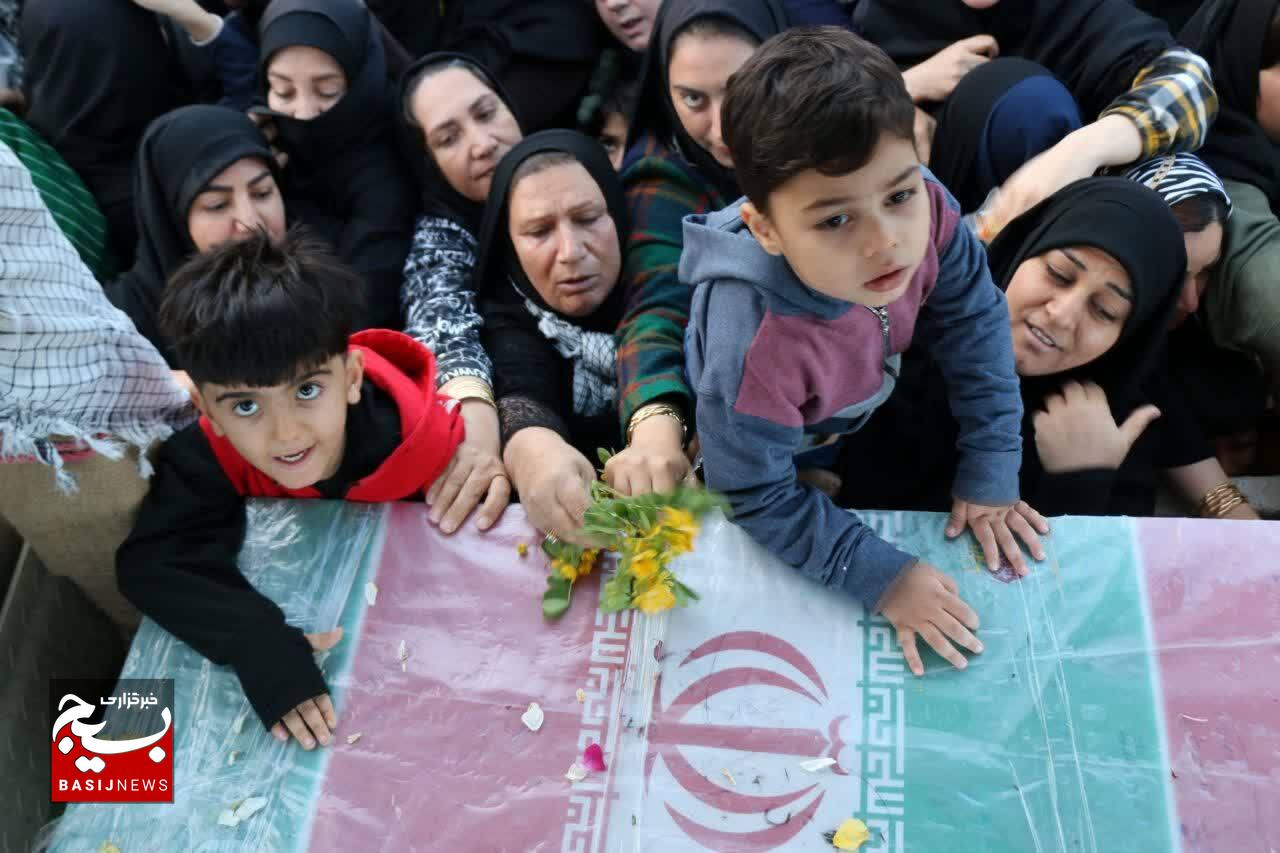 عطر لاله های بی نشان در هویزه ثانی لرستان پیچید عطر لاله های بی نشان در هویزه ثانی لرستان پیچید