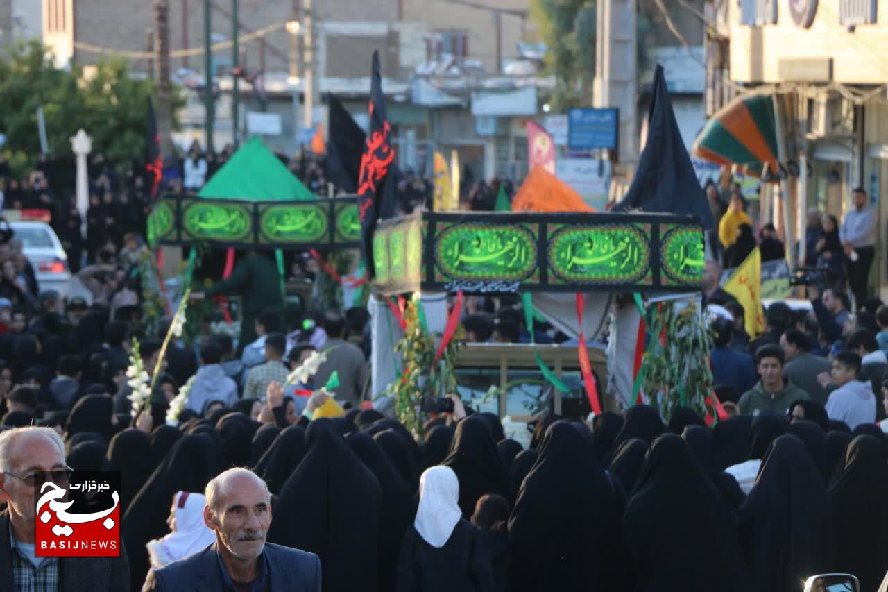 عطر لاله های بی نشان در هویزه ثانی لرستان پیچید عطر لاله های بی نشان در هویزه ثانی لرستان پیچید