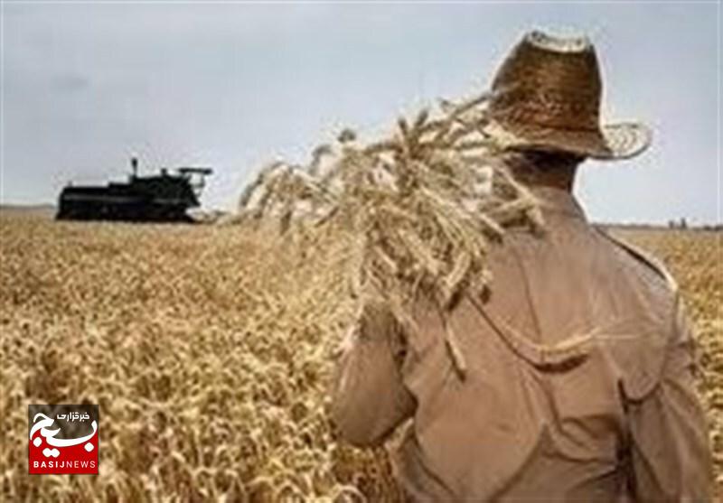 مشارکت ۱۳۰ هزار بهرهبردار اردبیلی در جهش تولید دیمزارها مشارکت ۱۳۰ هزار بهرهبردار اردبیلی در جهش تولید دیمزارها