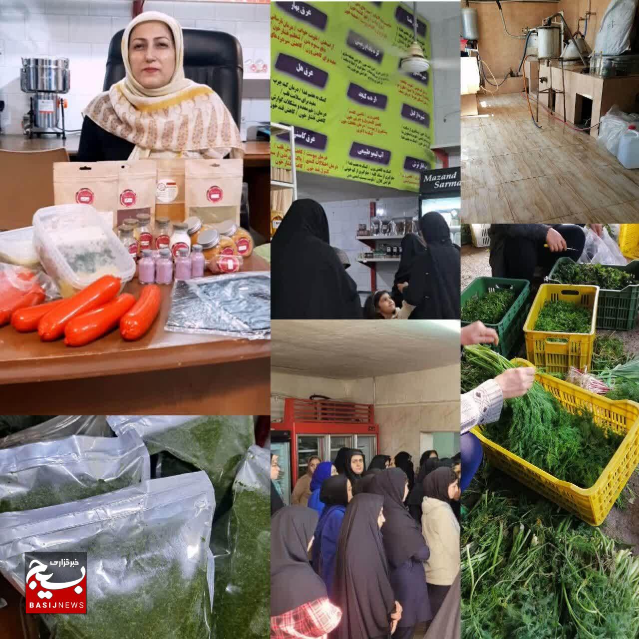 بانویی که توانستن را معنا کرد؛ «الهام یونستبار» و شکلگیری یک کسبوکار پایدار با رویکرد اجتماعی بانویی که توانستن را معنا کرد؛ «الهام یونستبار» و شکلگیری یک کسبوکار پایدار با رویکرد اجتماعی