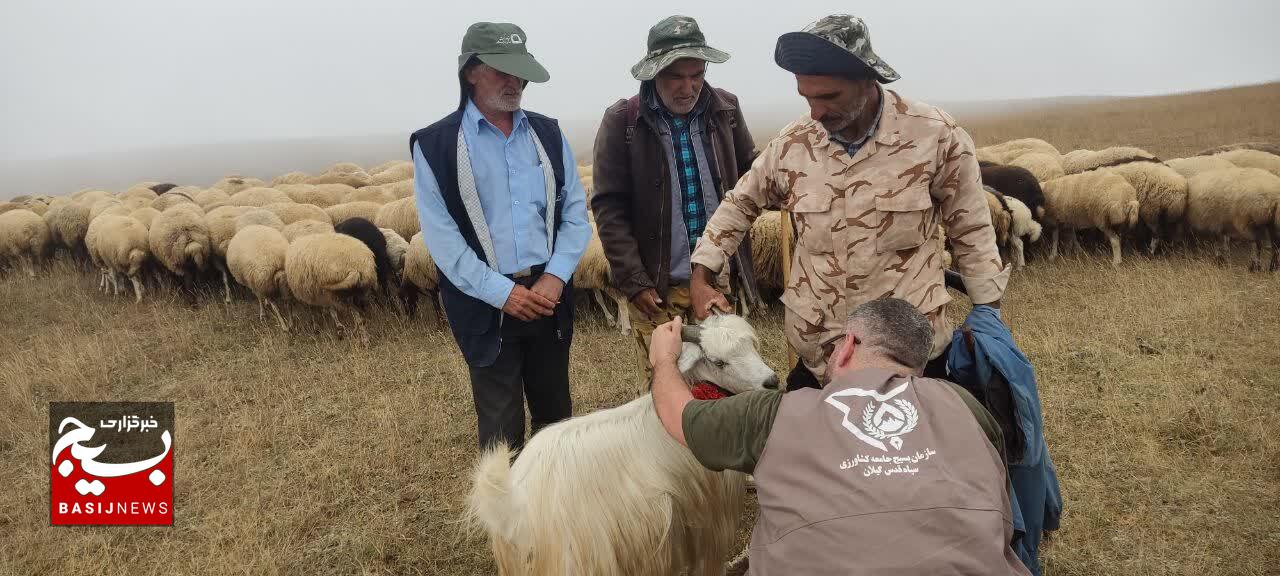 ویزیت ۴ هزار رأس دام و توزیع داروی رایگان بین دامداران عشایری ویزیت ۴ هزار رأس دام و توزیع داروی رایگان بین دامداران عشایری