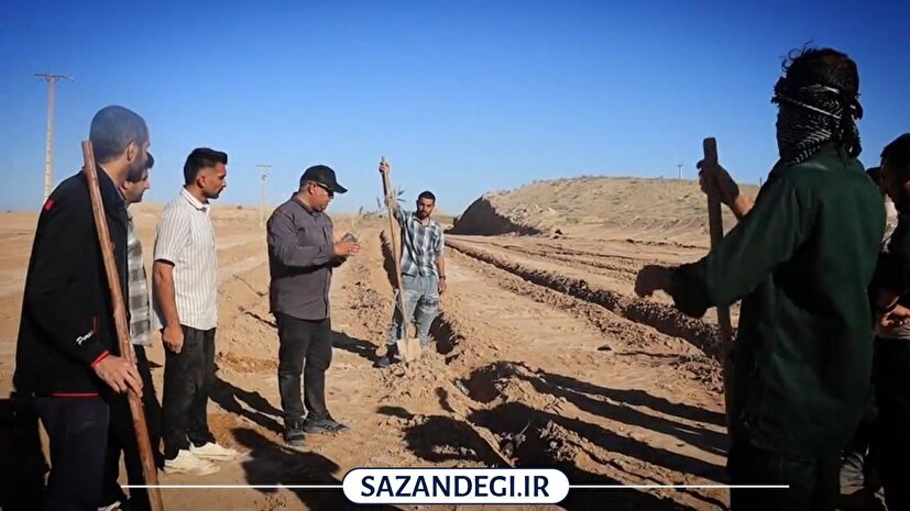 کاشت ۷ هزار نهال اکالیپتوس در یادمان شهدای فتح‌المبین شوش به مناسبت گرامیداشت شهدای فتنه دی‌ماه ۱۴۰۴