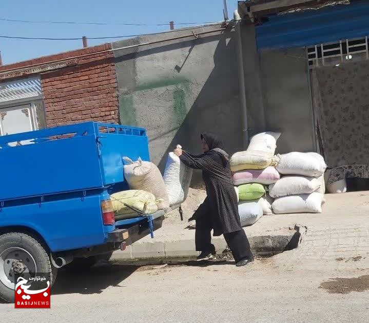 تلاش برای زندگی از رج رج گلیم بافی تا پاک کردن مشت مشت خشکبار تلاش برای زندگی از رج رج گلیم بافی تا پاک کردن مشت مشت خشکبار