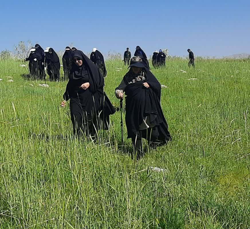 کوهنوردی کارکنان خواهر شاغل درسپاه فتح + ( فیلم و تصاویر)