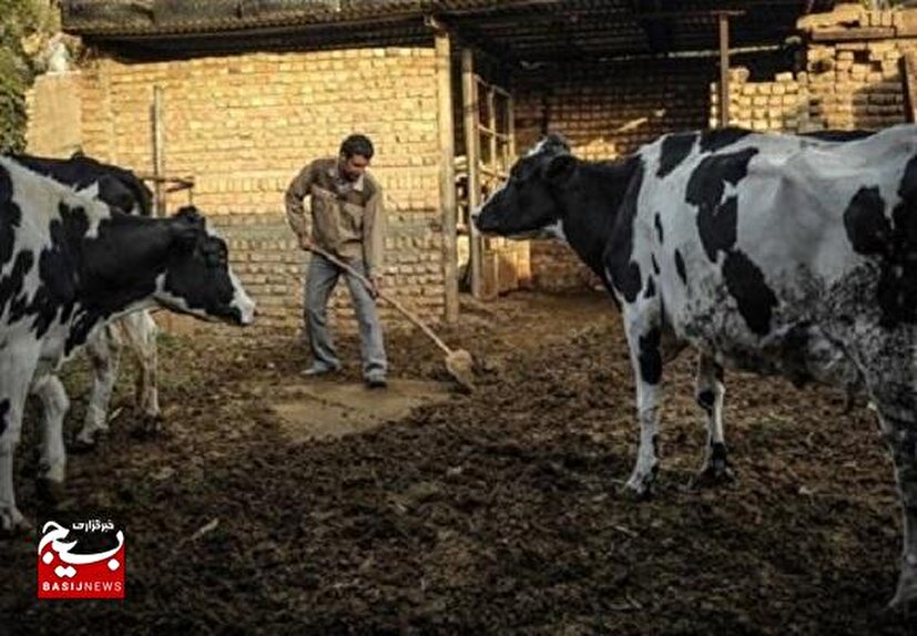 اشتغال زایی پنج نفره دستاورد پشتکار کار آفرین بسیجی شوشتری