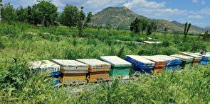 بسیج سازندگی حامی طرح‌های ایجاد مشاغل