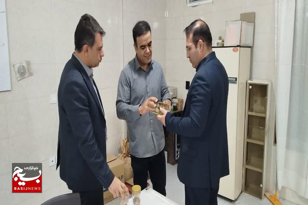 بازدیدهای میدانی فرصتی برای رفع موانع کارگاه‌های تولیدی