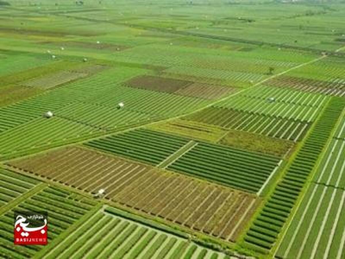 بازدید از ده‌ها هکتار اراضی واگذاری خوزستان
