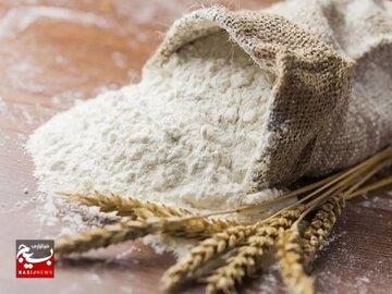 دزفول پیشگام در تولید آرد کامل در کشور دزفول پیشگام در تولید آرد کامل در کشور