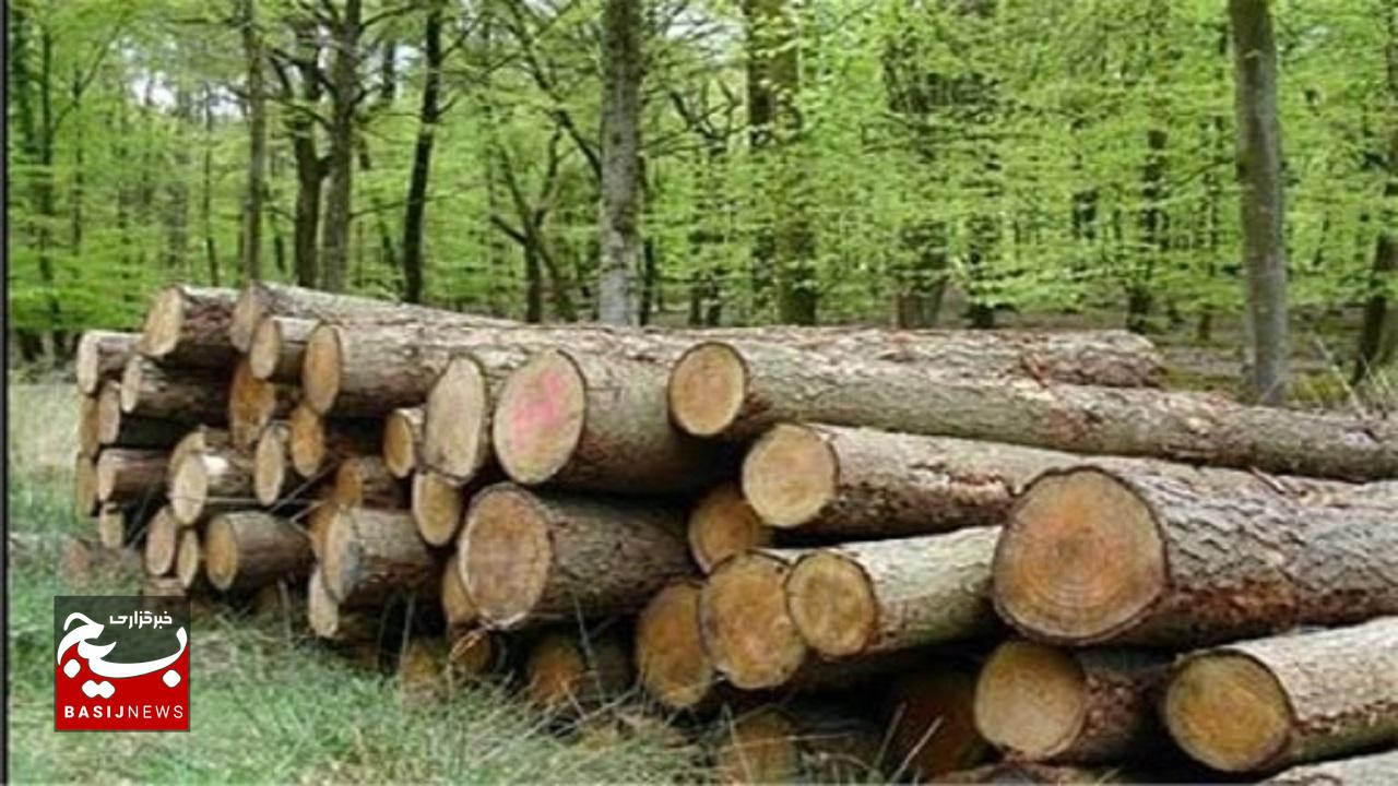 قاتل درختان جنگلی نمین شناسایی و دستگیر شد قاتل درختان جنگلی نمین شناسایی و دستگیر شد