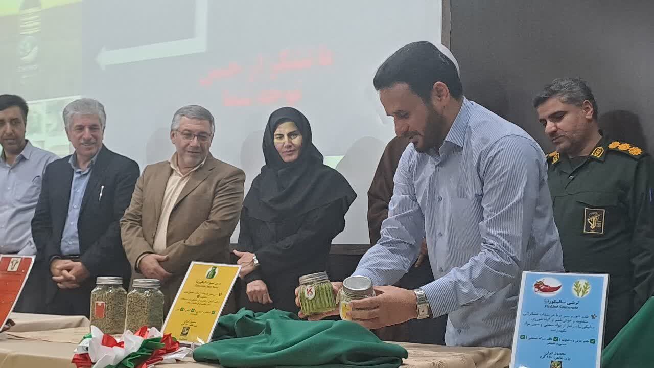 امکان‌سنجی کشت گیاه سالیکورنیا به عنوان گیاه استراتژیک روغنی در مناطق نیمه خشک و خشک کشور
