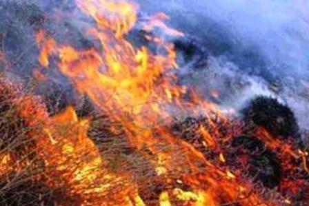 آتشسوزی در منطقه حفاظت شده خانگرمز تویسرکان