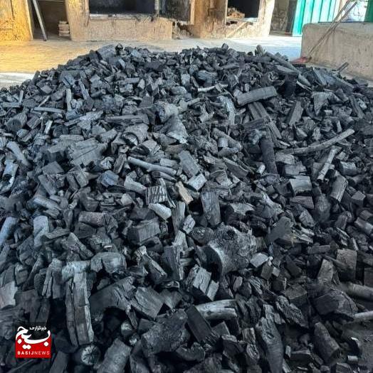 کشف انبار غیرمجاز ۸ تنی چوب طاق در گناباد