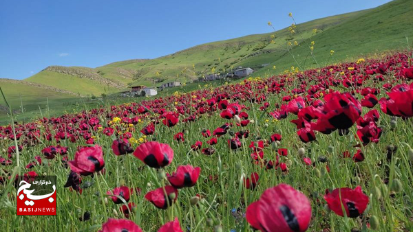 اختصاص ۶۰ میلیارد تومان به تقویت زیرساختهای گردشگری اردبیل اختصاص ۶۰ میلیارد تومان به تقویت زیرساختهای گردشگری اردبیل