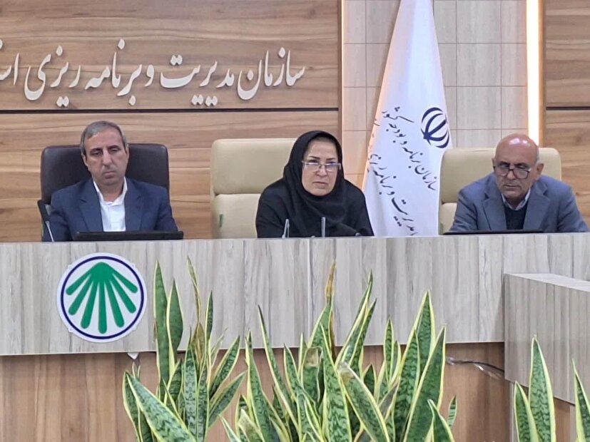 آسیب‌شناسی کمیته‌های برنامه‌ریزی شهرستان‌های کهگیلویه و بویراحمد