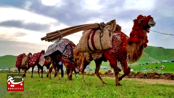 جشنواره کوچ عشایر به زمان دیگری موکول شد جشنواره کوچ عشایر به زمان دیگری موکول شد