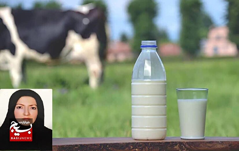 طلای سفید سلامت استخوان‌ها و سپر پیشگیری از بیماری‌های غیرواگیر