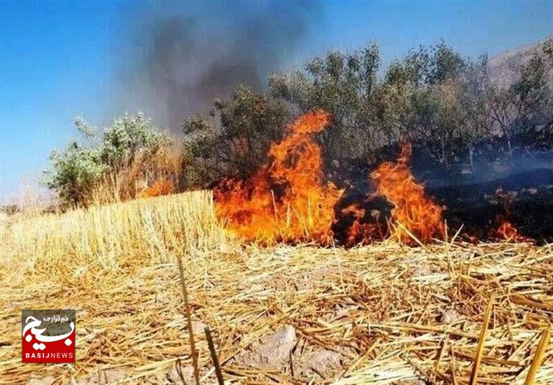 تشکیل پرونده قضائی برای متخلفان زیست محیطی در پارس آباد تشکیل پرونده قضائی برای متخلفان زیست محیطی در پارس آباد