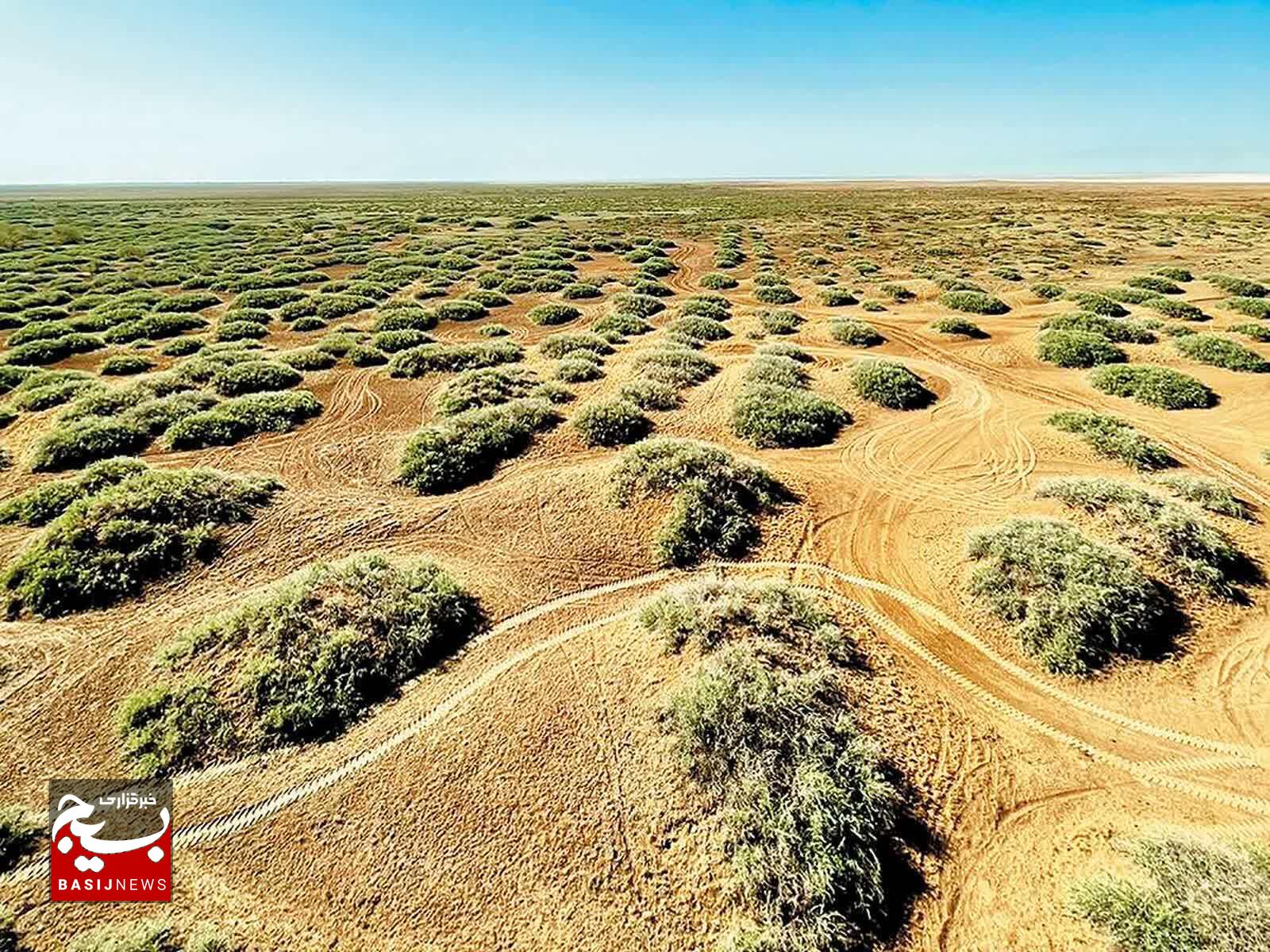کویر میقان اراک در اولویت نخست طرحهای بیابانزدایی استان مرکزی قرار دارد کویر میقان اراک در اولویت نخست طرحهای بیابانزدایی استان مرکزی قرار دارد