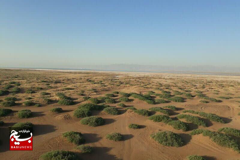 کویر میقان اراک در اولویت نخست طرحهای بیابانزدایی استان مرکزی قرار دارد کویر میقان اراک در اولویت نخست طرحهای بیابانزدایی استان مرکزی قرار دارد