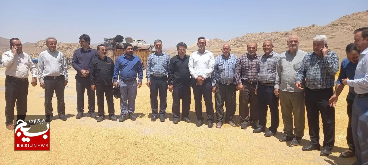 رشد ۵ درصدی خرید تضمینی گندم در قزوین رشد ۵ درصدی خرید تضمینی گندم در قزوین
