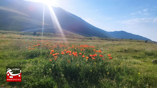 پیشبینی بارشهای تابستانی برای برخی مناطق اردبیل پیشبینی بارشهای تابستانی برای برخی مناطق اردبیل