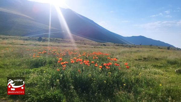دمای هوا در اردبیل افزایش مییابد دمای هوا در اردبیل افزایش مییابد