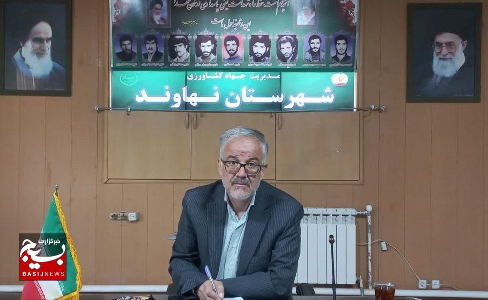 پیشبینی برداشت ۱۵۰ تن تخمه آجیلی در قطب بیرقیب غرب کشور