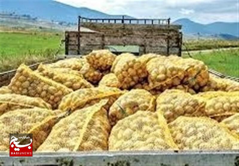 بازار سیبزمینی آرام نشود، مداخله میکنیم بازار سیبزمینی آرام نشود، مداخله میکنیم