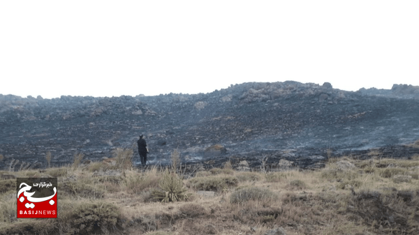 آتشسوزی مراتع تالاب نئور مهار شد آتشسوزی مراتع تالاب نئور مهار شد