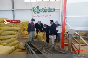 کار آفرین برتر خاشی ۴٠ نفر را مشغول بکار کرده است
