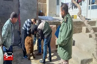 خدمات&zwnj;رسانی کلینیک سیار دامپزشکی سپاه و گروه جهادی بسیج مهندسین کشاورزی ملایر