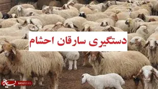 دستگیری باند سارقین سابقه دار احشام درشهرستان جم