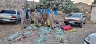 کمین شبانه محیط بانان و دستگیری صیادان غیر مجاز با نیم تن ماهی