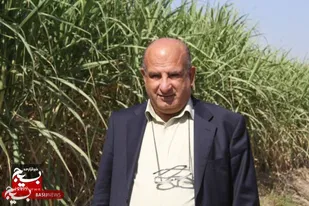 پیش&zwnj;بینی تولید بیش از ۶۵۰ هزار تن شکر در خوزستان/ رکورد تولید شکسته می&zwnj;شود