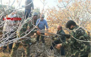 کشف و ضبط ۵ تُن چوب تاغ قاچاق در شاهرود