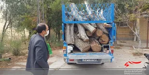 کشف محموله چوب قاچاق در شاهرود