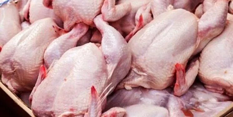 ۱۹ تن مرغ گرم در بازار ایلام توزیع شد