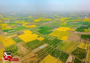 صدور ۳۵ هزار سند برای زمین&zwnj;های کشاورزی در شوشتر
