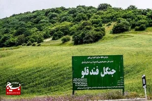اراضی جنگلی نمین به پاسگاه حفاظتی نیاز دارد
